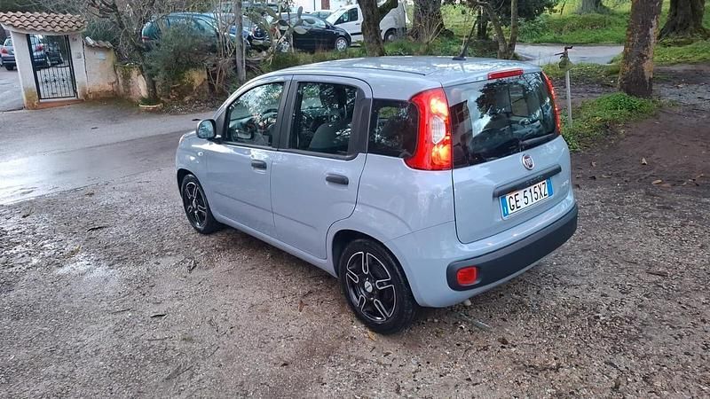 Usata Fiat Panda Cross Cross 69 CV (50 kW) 2021 Grigio Utilitaria