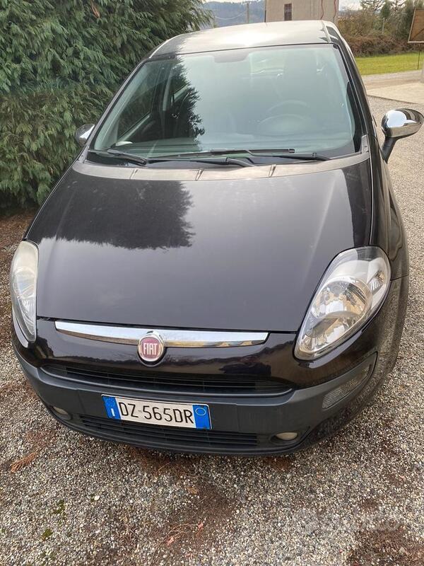 Usato 2010 Fiat Punto Evo Diesel (4.000 €)