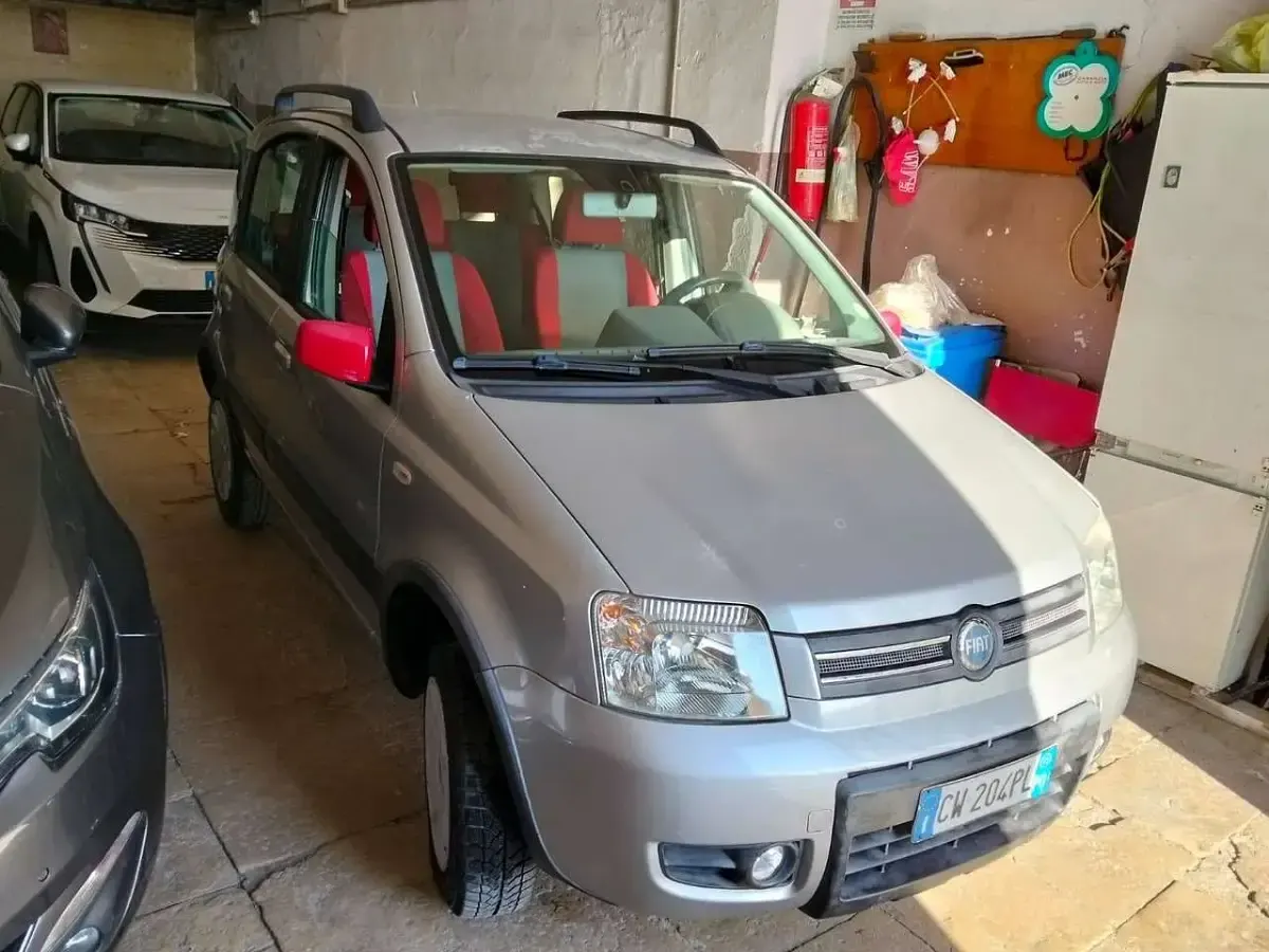 Usata Fiat Panda 4x4 Climbing 60 CV (44 kW) 2005 Grigio Utilitaria