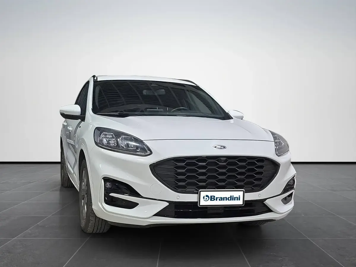 Usata Ford Kuga ST-Line X 120 CV (88 kW) 2023 Bianco SUV