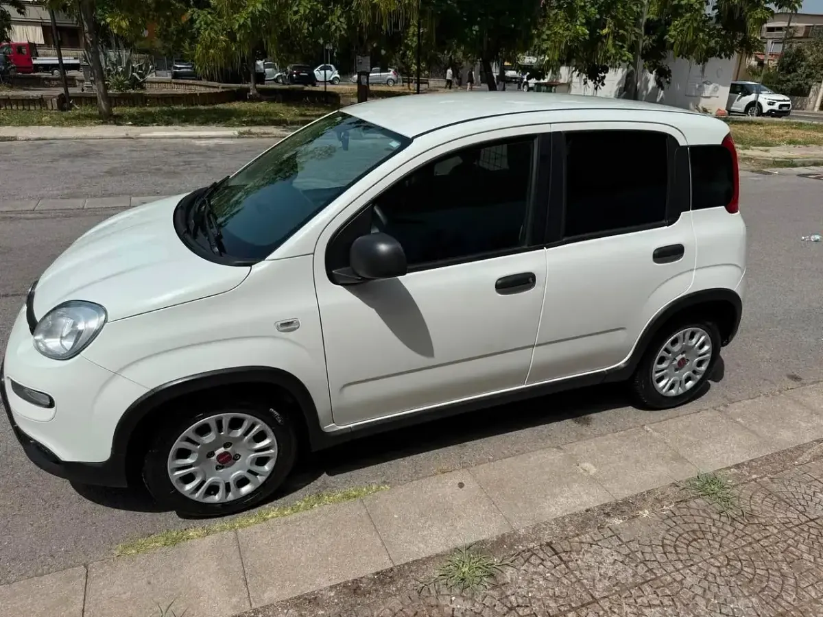 Usata Fiat Panda Pop 70 CV (51 kW) 2023 Bianco Utilitaria
