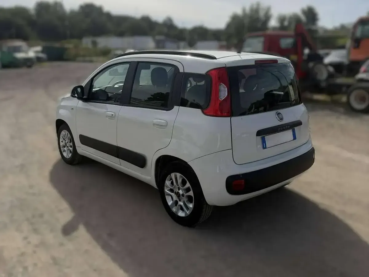 Usata Fiat Panda Connect 69 CV (50 kW) 2019 Bianco Utilitaria