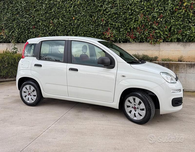Usata Fiat Panda Easy 69 CV (50 kW) 2020 Bianco Utilitaria