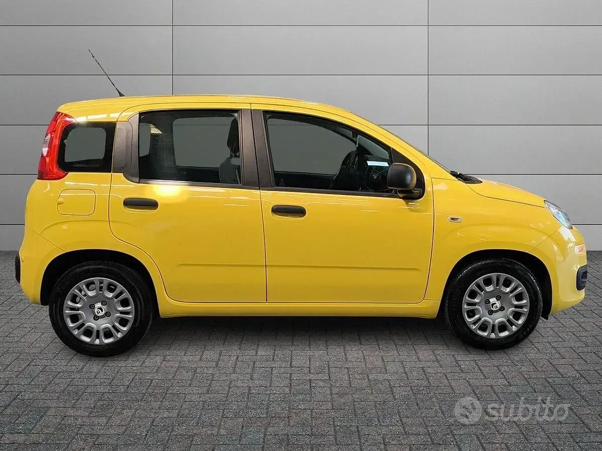 Usata Fiat Panda Pop 65 CV (47 kW) 2026 Giallo Utilitaria