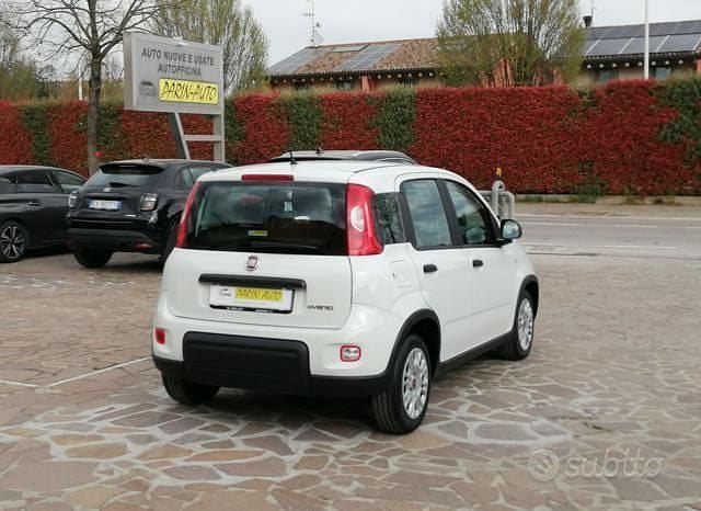 Usata Fiat Panda S 70 CV (51 kW) 2023 Bianco Utilitaria