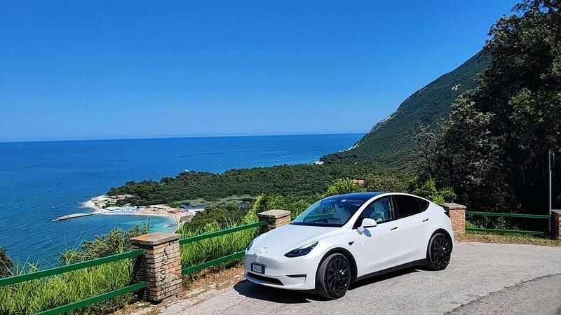 Usata Tesla Model Y Performance 392 kW (534 CV) 2023 Bianco SUV