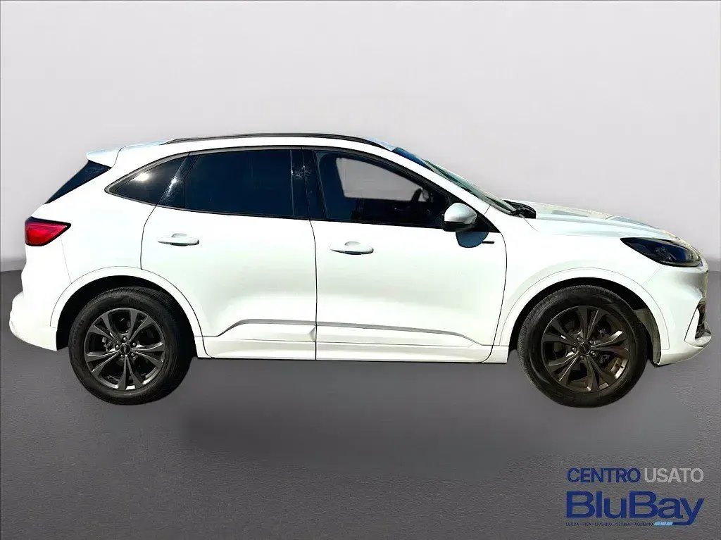 Usata Ford Kuga ST-Line 150 CV (110 kW) 2023 Frozen white SUV