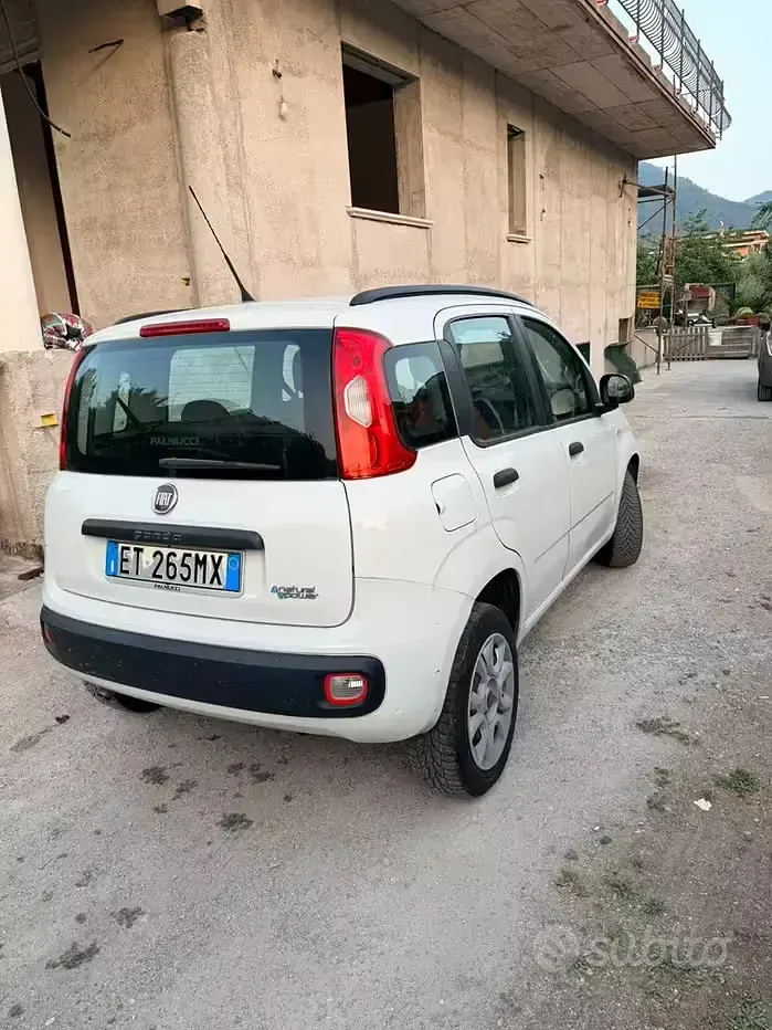 Usata Fiat Panda 85 CV (62 kW) 2013 Bianco Utilitaria