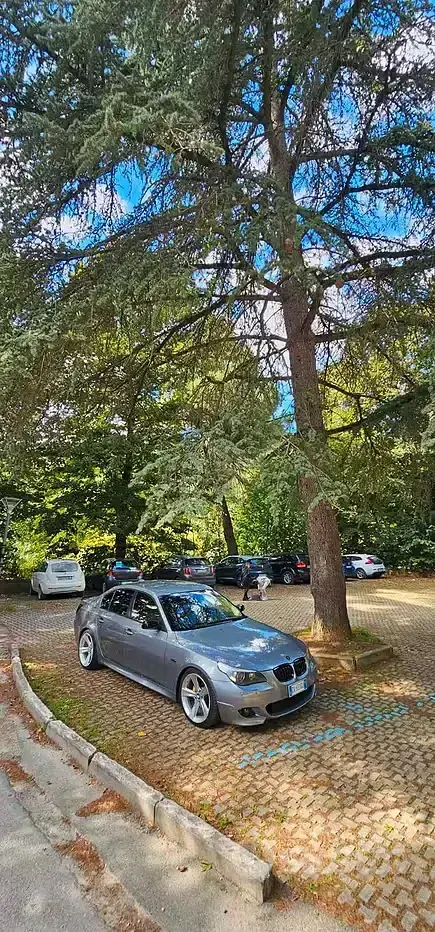 Usata BMW 530 M Sport 218 CV (160 kW) 2003 Grigio Berlina