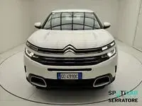 Usata Citroën C5 Aircross Business Class 131 CV (96 kW) 2020 Bianco SUV