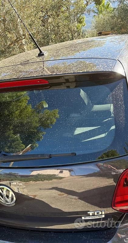Usata VW Polo 90 CV (66 kW) 2016 Utilitaria