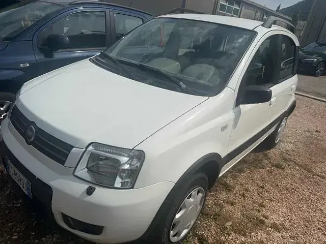 Usata Fiat Panda 4x4 Climbing 59 CV (43 kW) 2005 Bianco Utilitaria