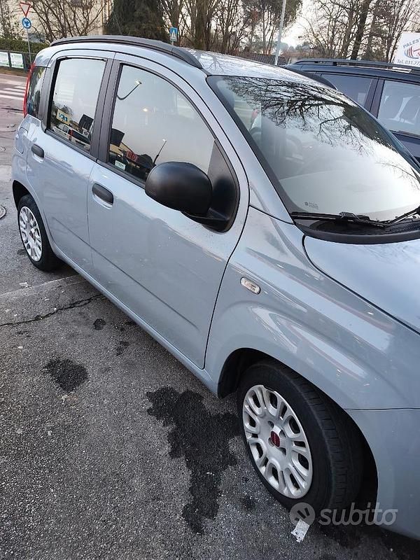 Usata Fiat Panda Easy 69 CV (50 kW) 2018 Grigio Utilitaria