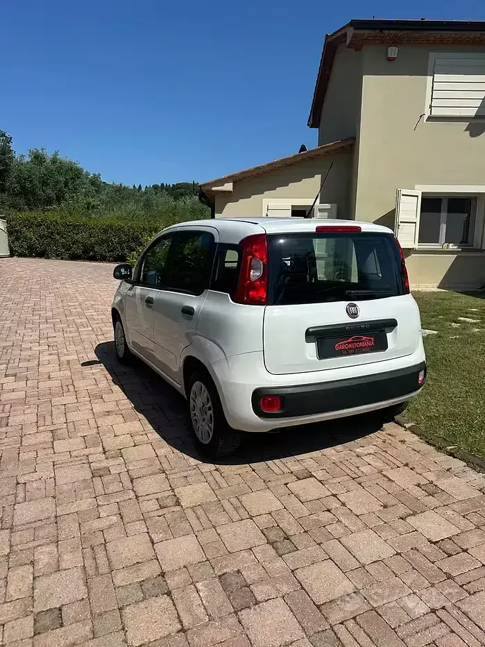 Usata Fiat Panda Pop 69 CV (50 kW) 2019 Bianco Utilitaria