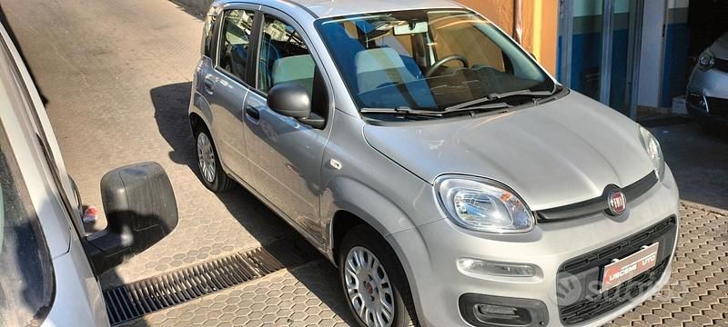Usata Fiat Panda Easy 69 CV (50 kW) 2018 Grigio Utilitaria