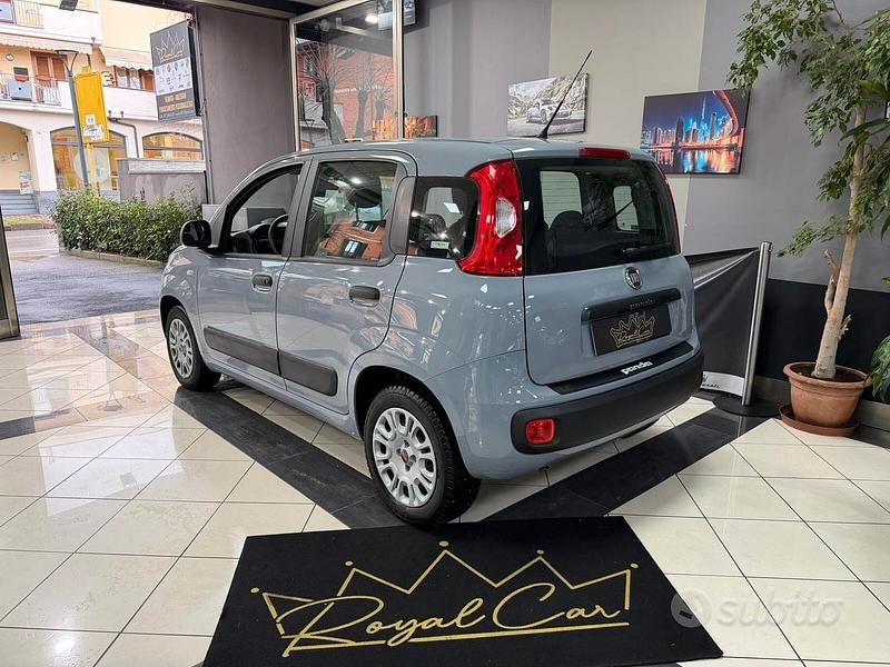 Usata Fiat Panda Easy 69 CV (50 kW) 2017 Grigio Berlina