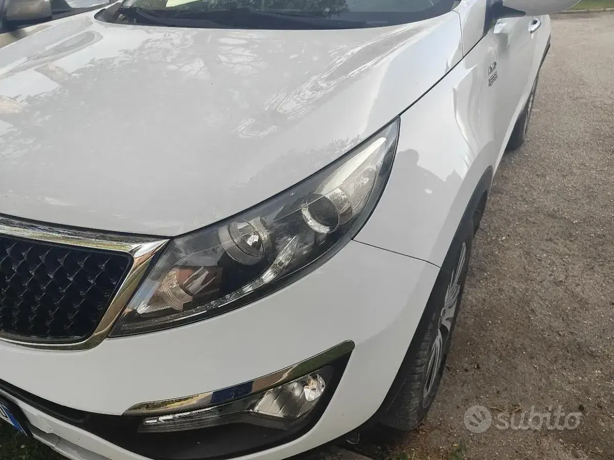Usata Kia Sportage 136 CV (100 kW) 2015 Bianco SUV