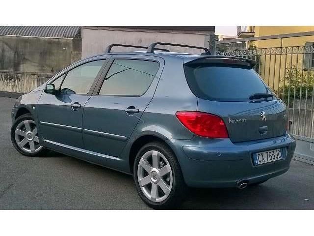 Peugeot 307 feline