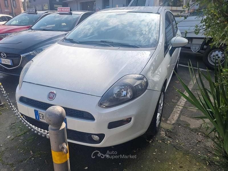 Usata Fiat Punto Lounge 95 CV (69 kW) 2013 Bianco Utilitaria