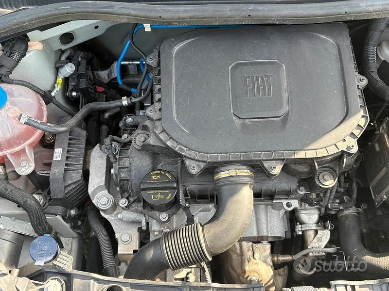 Usata Fiat Panda 70 CV (51 kW) 2023 Bianco Utilitaria