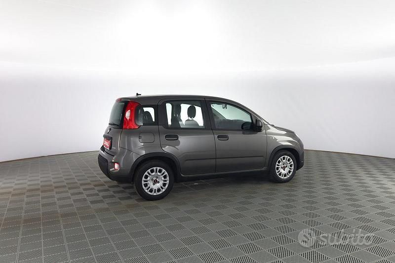 Usata Fiat Panda S 69 CV (50 kW) 2023 Grigio Utilitaria