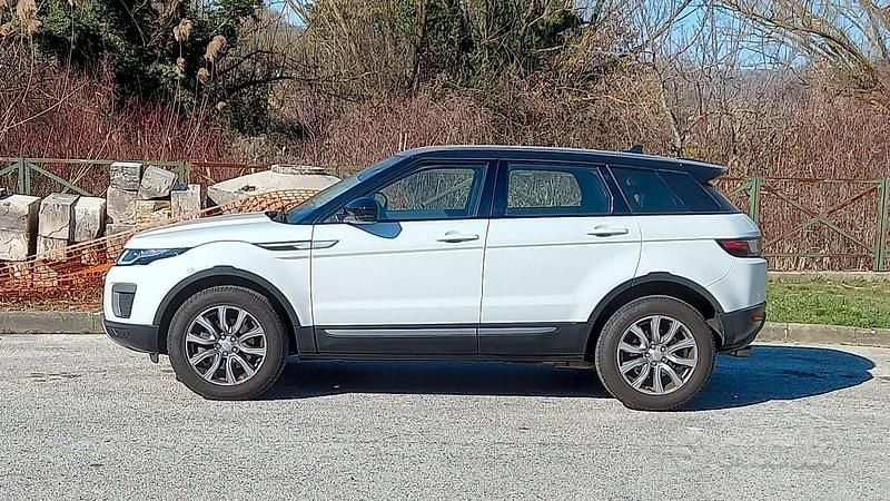 Usata Land Rover Range Rover evoque 150 CV (110 kW) 2016 Bianco SUV