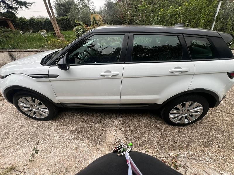 Usata Land Rover Range Rover evoque 150 CV (110 kW) 2017 Bianco Station wagon