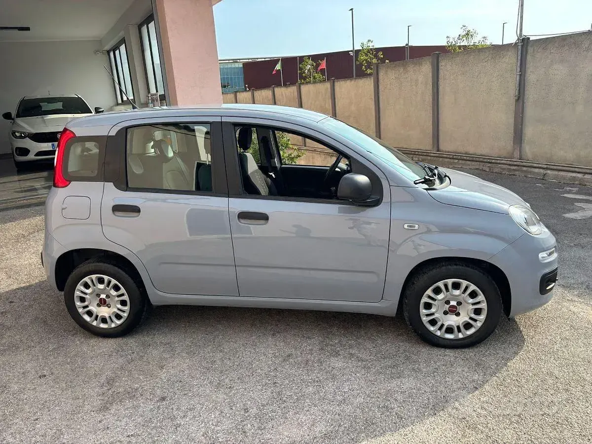 Usata Fiat Panda Easy 69 CV (50 kW) 2019 Grigio Utilitaria