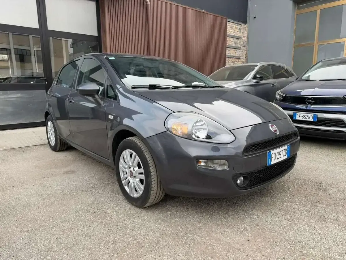 Usata Fiat Punto Lounge 69 CV (50 kW) 2016 Grigio Utilitaria