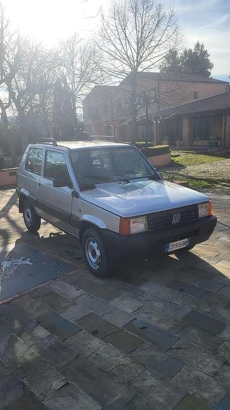 Usata Fiat Panda 4x4 Trekking 54 CV (39 kW) 2002 Argento Utilitaria