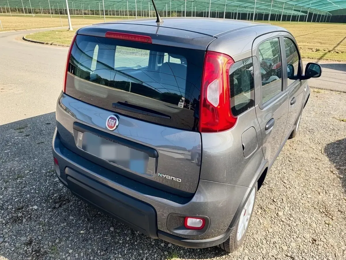 Usata Fiat Panda Red 71 CV (52 kW) 2022 Grigio Utilitaria
