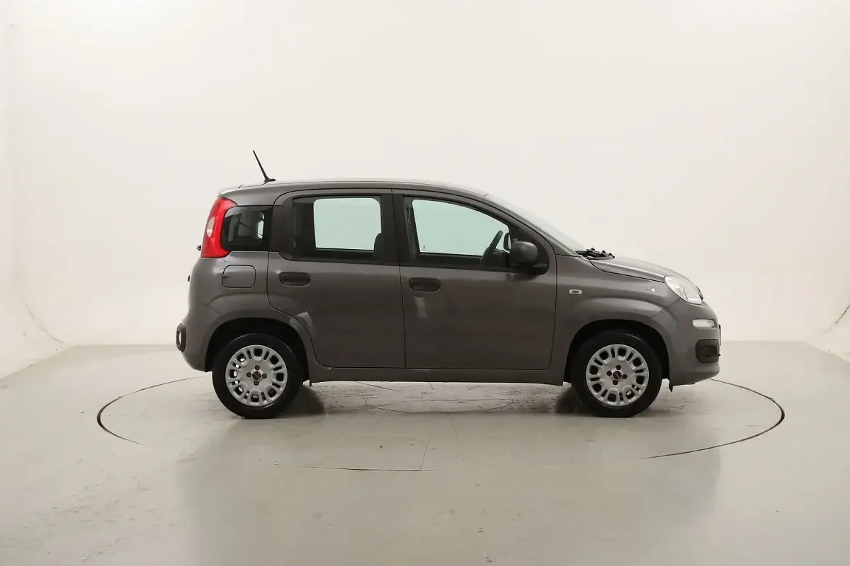 Usata Fiat Panda Easy 69 CV (50 kW) 2021 Utilitaria