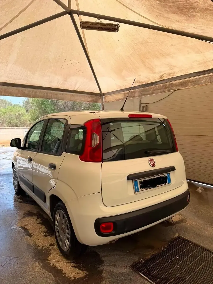 Usata Fiat Panda Easy 95 CV (69 kW) 2015 Bianco Utilitaria