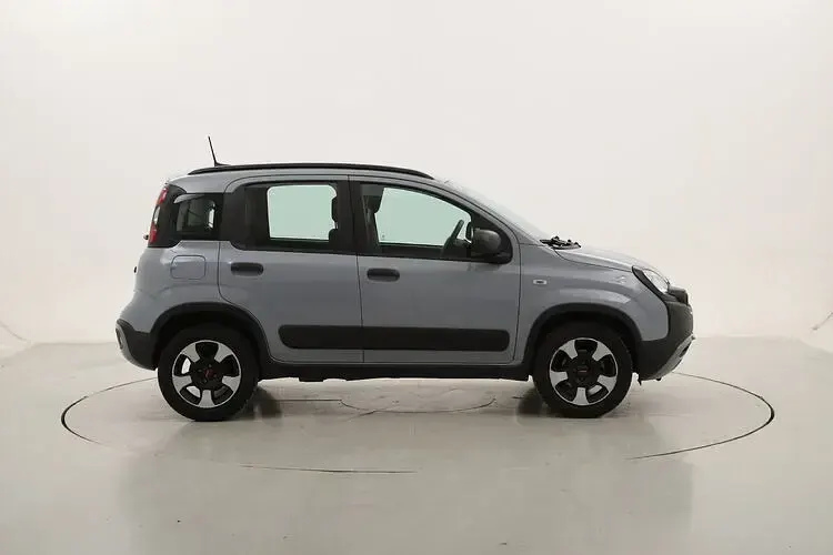 Occasion Fiat Panda Cross Cross 70 ch (51 kW) 2022 Citadine
