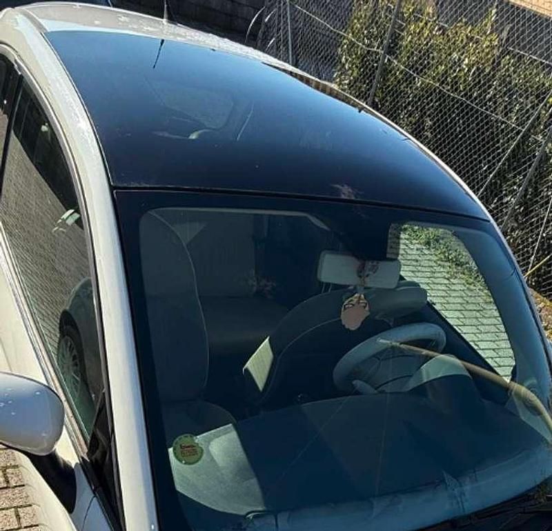 Usata Fiat 500 Lounge 69 CV (50 kW) 2009 Cabrio