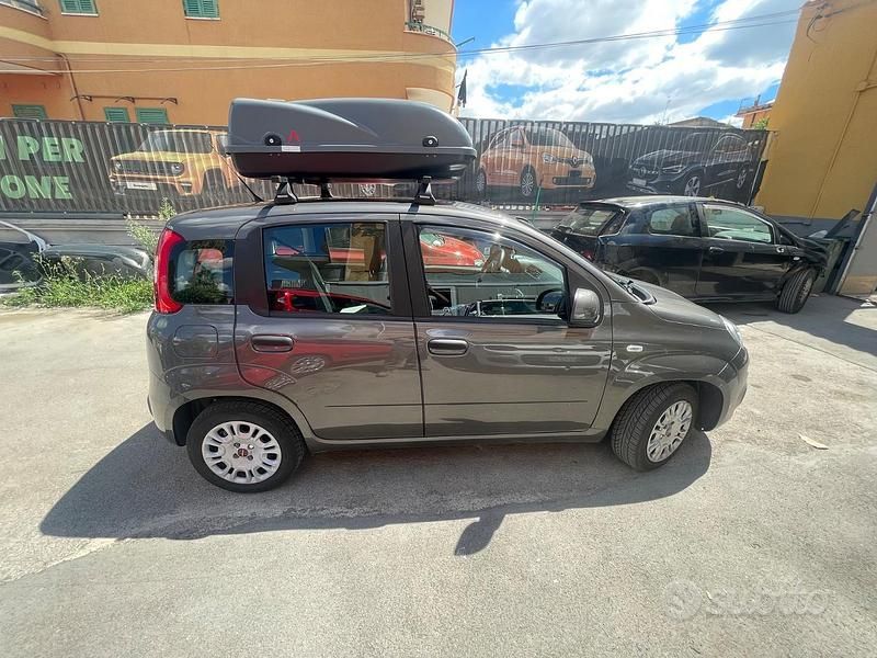 Usata Fiat Panda Easy 69 CV (50 kW) 2021 Marrone Utilitaria