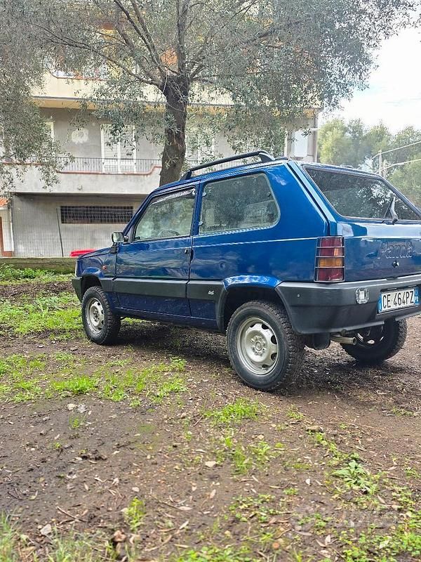 Usata Fiat Panda 4x4 Climbing 54 CV (39 kW) 2003 Utilitaria