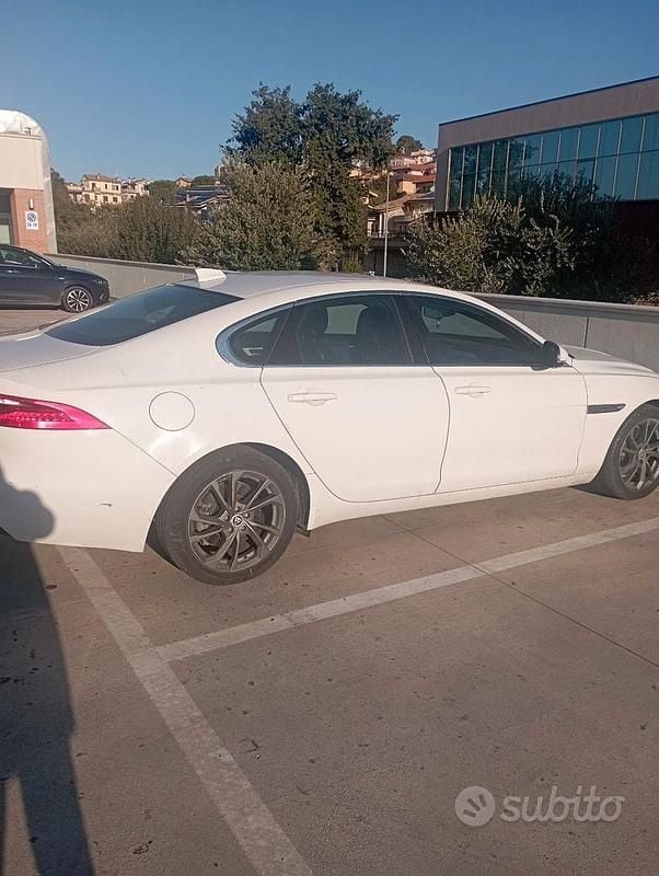 Usata Jaguar XF 240 CV (176 kW) 2015 Bianco Berlina
