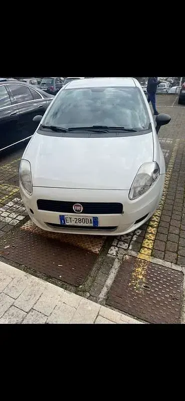 Usata Fiat Punto Easy 75 CV (55 kW) 2013 Bianco Utilitaria
