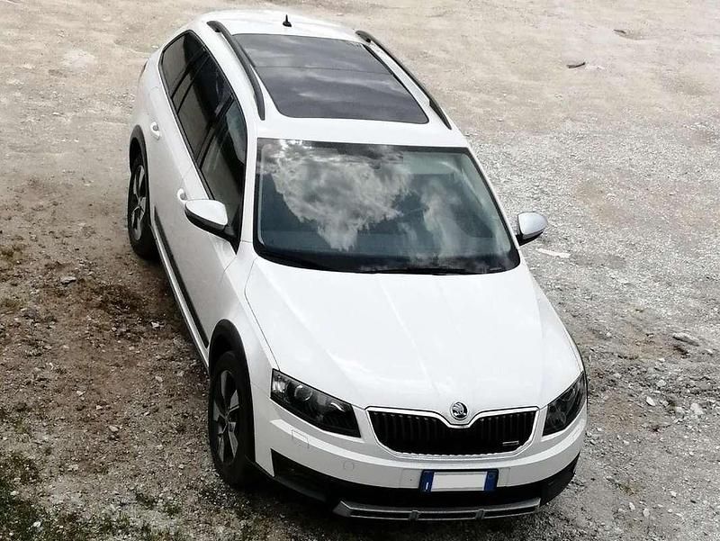 Usata Skoda Octavia Scout 4x4 150 CV (110 kW) 2015 Bianco Station wagon