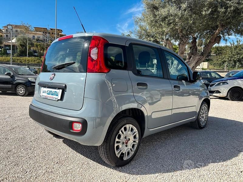 Usata Fiat Panda 69 CV (50 kW) 2019 Grigio Utilitaria