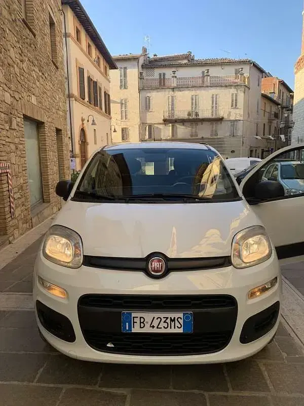 Usata Fiat Panda Young 80 CV (58 kW) 2016 Utilitaria