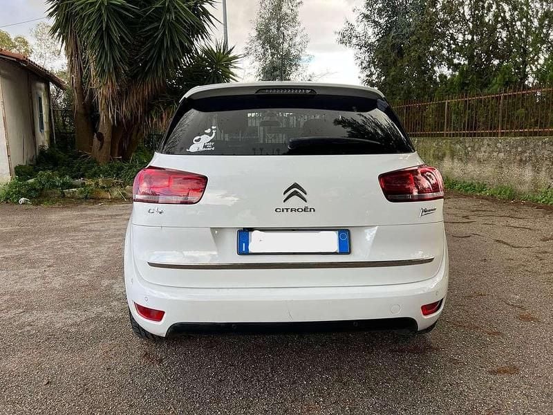 Usata Citroën C4 Picasso Exclusive 116 CV (85 kW) 2014 Bianco Monovolume