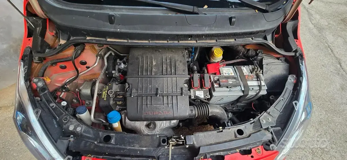 Usata Ford Ka 69 CV (50 kW) 2009 Rosso Utilitaria