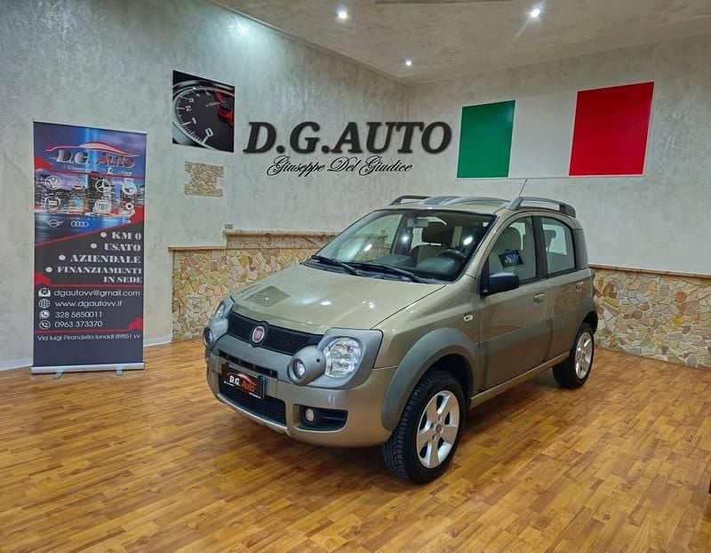Usata Fiat Panda Cross Cross 69 CV (50 kW) 2009 Grigio Utilitaria