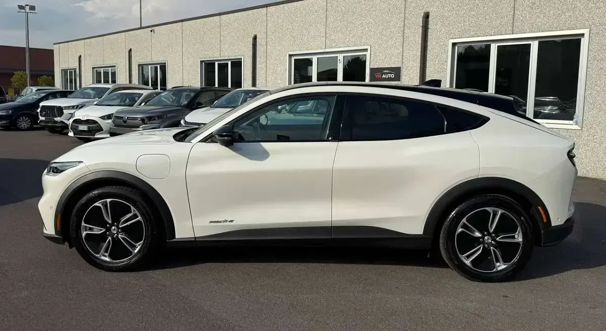 Usata Ford Mustang Mach-E Standard Range 100 kW (136 CV) 2024 Bianco SUV