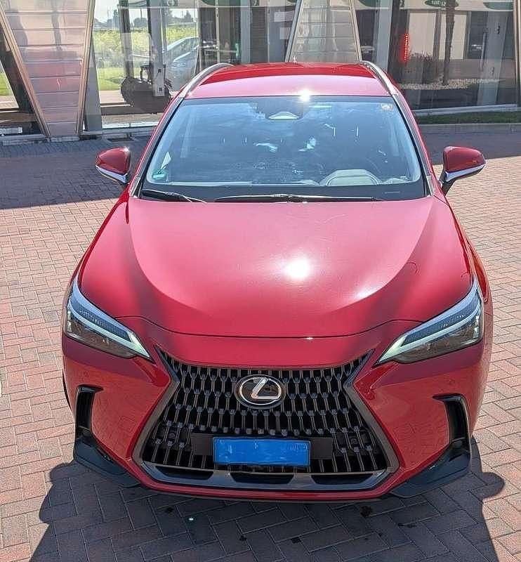 Usata Lexus NX350h Business Edition 190 CV (139 kW) 2024 Rosso SUV
