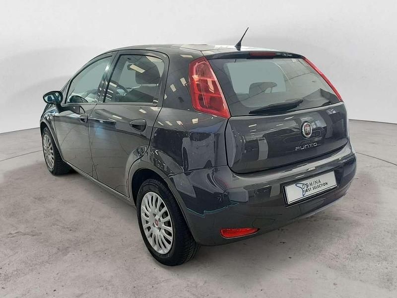 Usata Fiat Punto Evo Street 95 CV (69 kW) 2017 Grigio Utilitaria