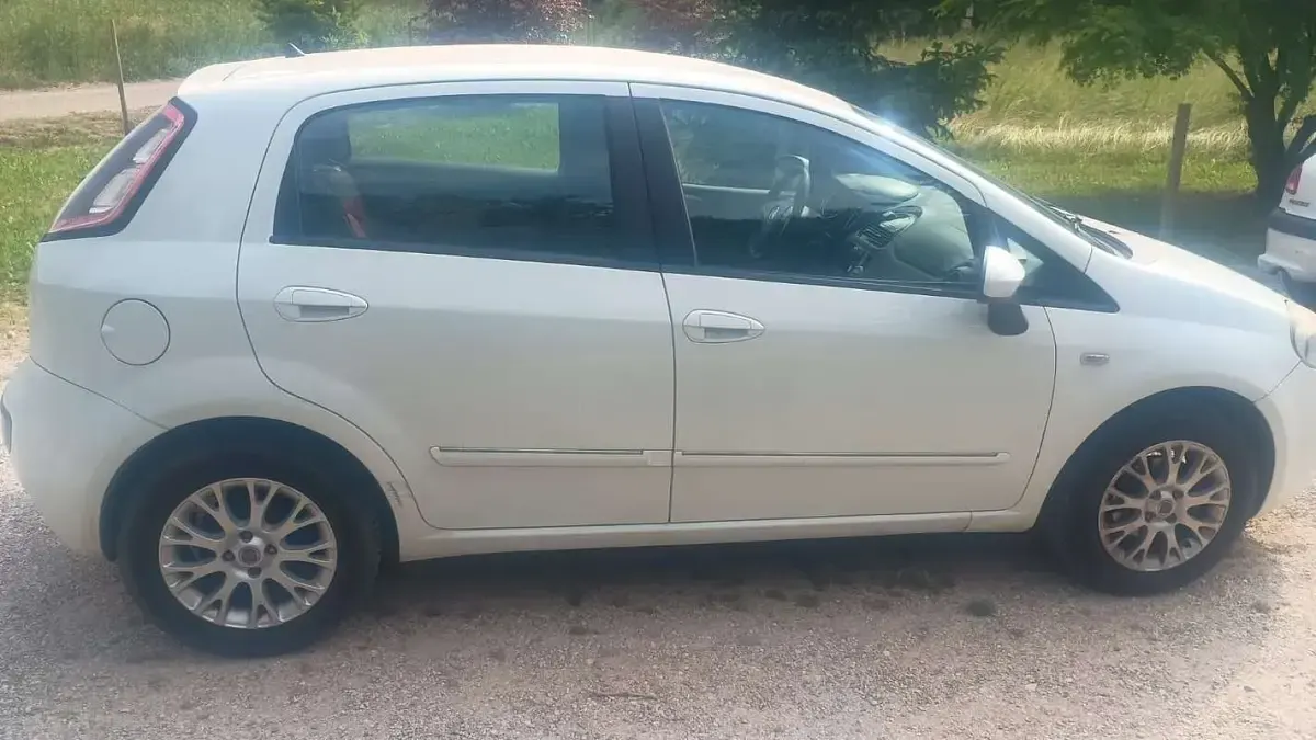 Usata Fiat Punto Evo Emotion 77 CV (56 kW) 2010 Utilitaria