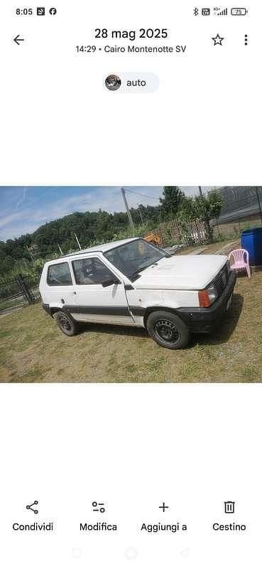 Usata Fiat Panda 4x4 54 CV (39 kW) 1998 Utilitaria